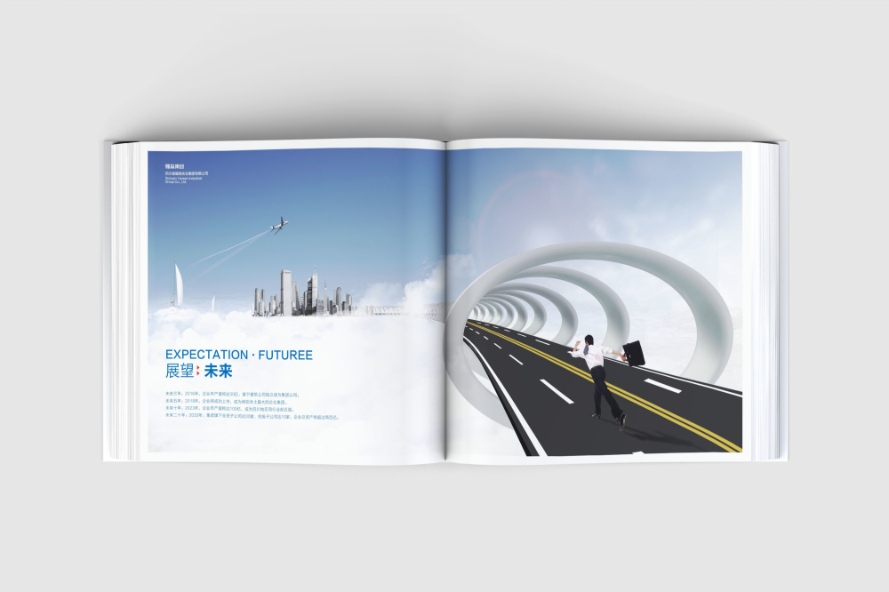 保山画册设计